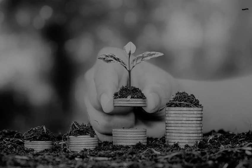 Lex Rahoitus on suomalainen yritysrahoituksen asiantuntija